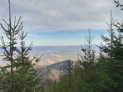 Beskidy, Ziemia Cieszyńska, “Nadodrzański Szlak Przyrodniczy“