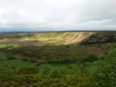 Anglia Środkowa, Londyn, Yorkshire - 7 dni