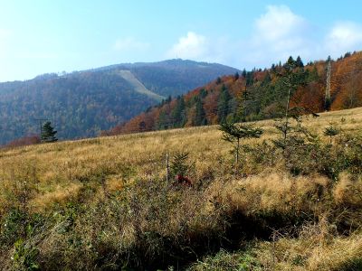 Góry - Beskid Sądecki