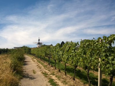 Austriackie miasteczka winiarzy - 1 dzień